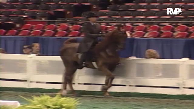 2000 WCHS Class 21 ASB Three Gaited S...