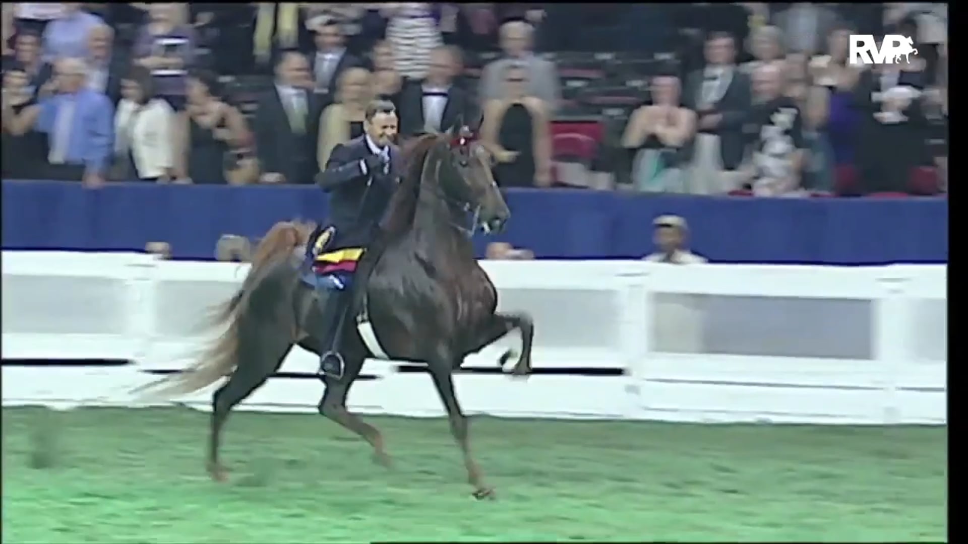 WCHS15 - An Interview with Horse Show Manager Scarlett Mattson 