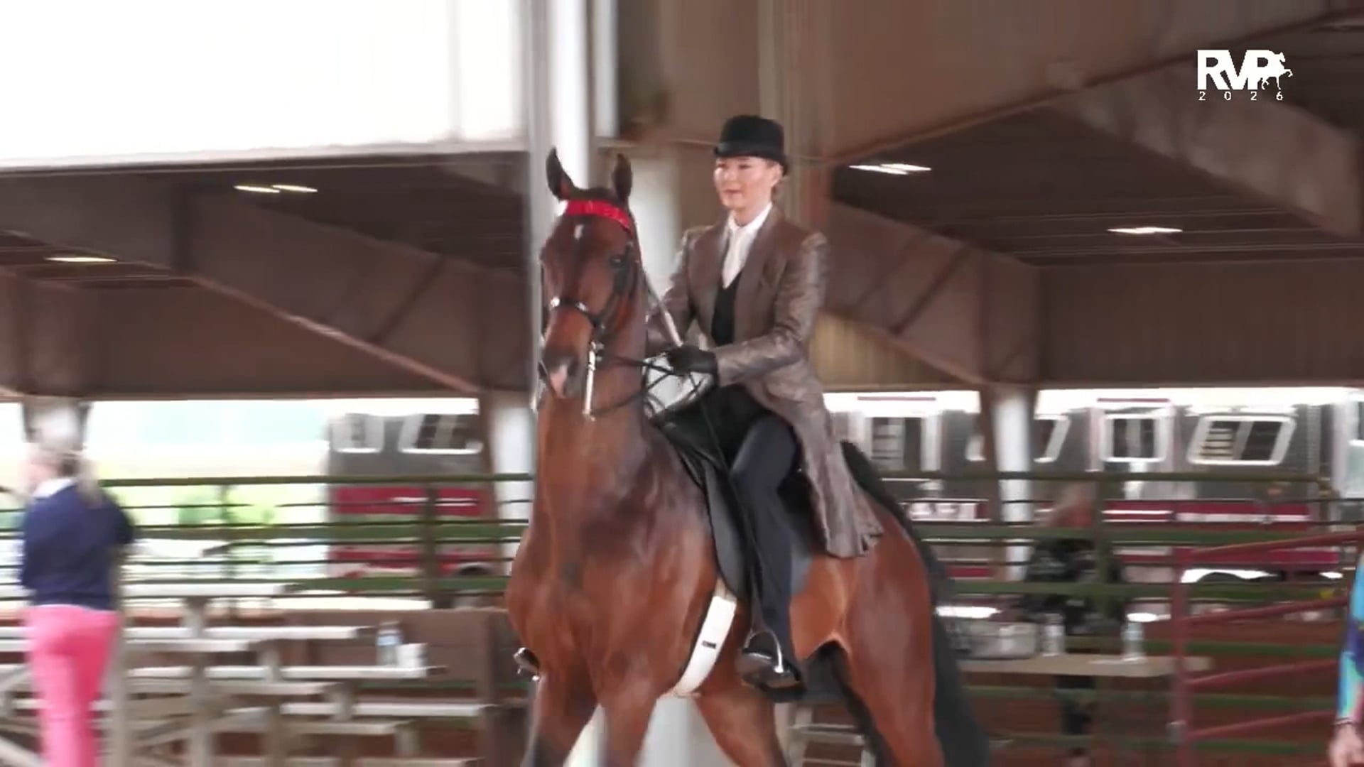 ASC26 - Class 142 - Five Gaited Championship Ladies Amateur