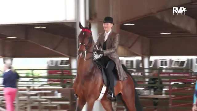 ASC26 - Class 142 - Five Gaited Champ...