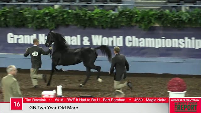 MGN17 - Class 16 - GN Two-Year-Old Mare
