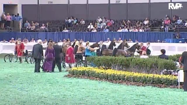 2010 World's Championship Horse Show ...