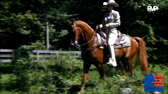 2019 Shenandoah Classic Horse Show - ...