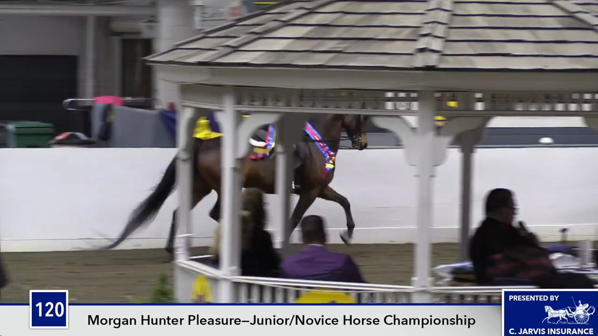 UPHACh14 17 - Ledyard Mysterious Prince - Championship