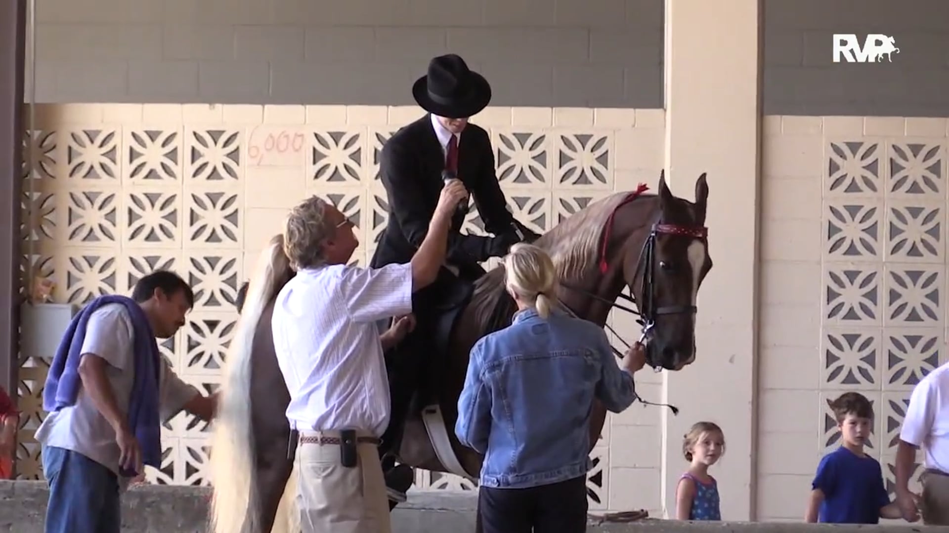 WCHS15 - Class 59 - Amateur Roadster Pony 50 Inches & Under