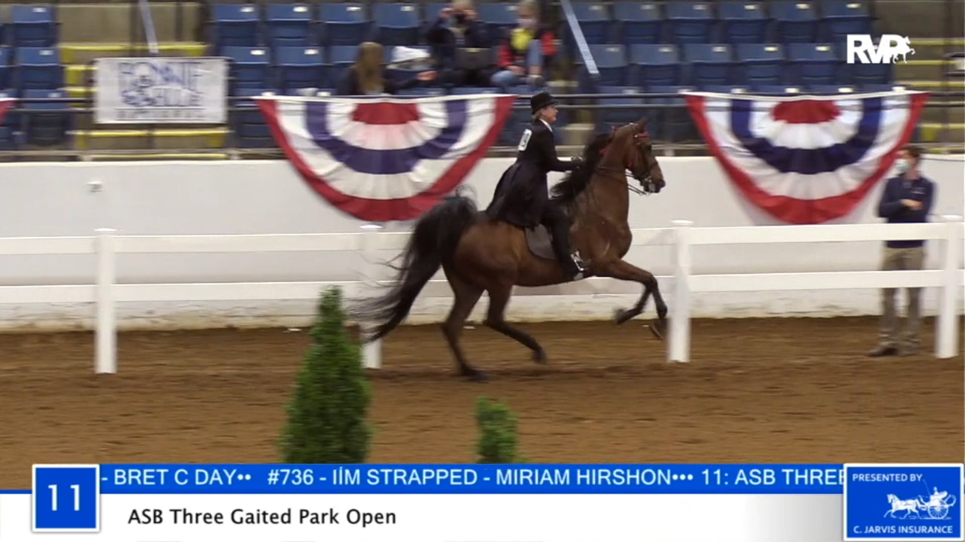 2020 BB - Class 11 ASB Three Gaited Park Open