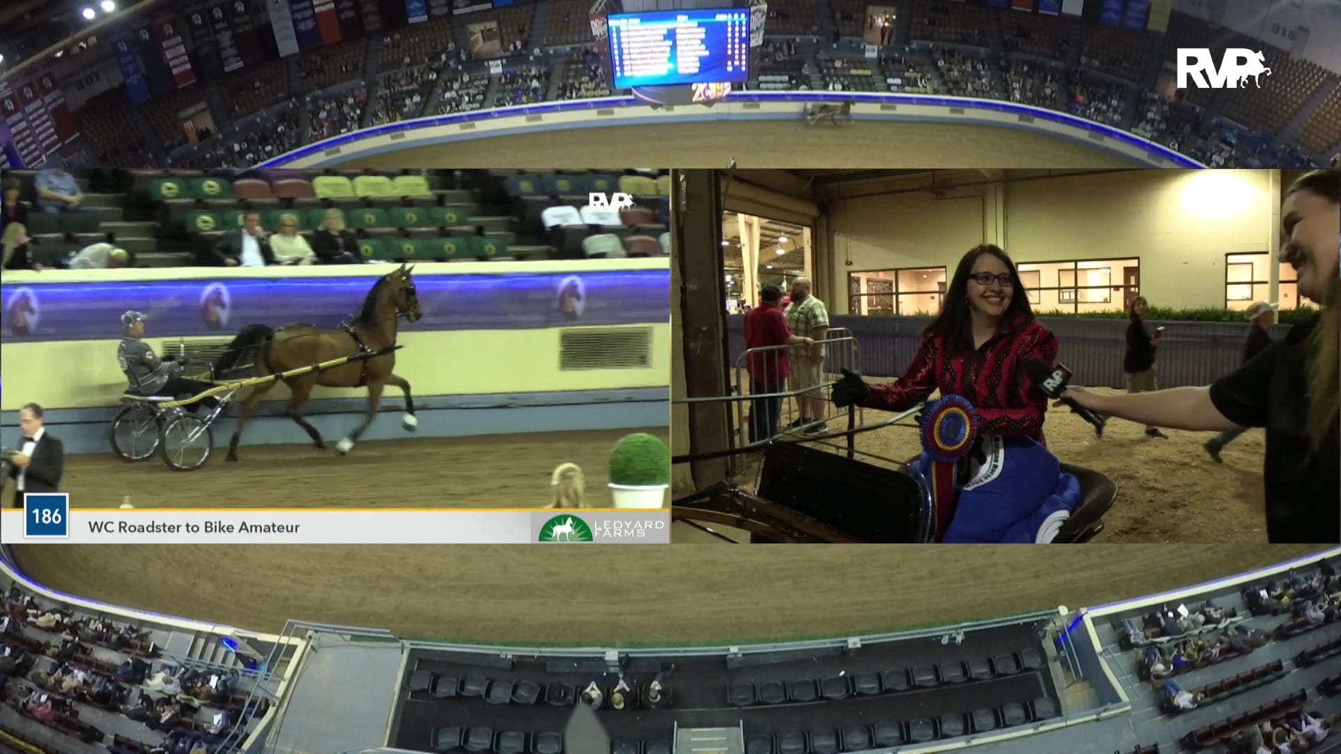 MGN19 - Fox Hollow Talk About Me GCH - Class 185