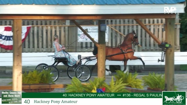 SCF25 - Class 40 - Hackney Pony Amateur