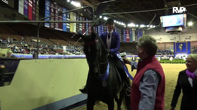 MGN19 - Indian Creek Recordbreaker CH...