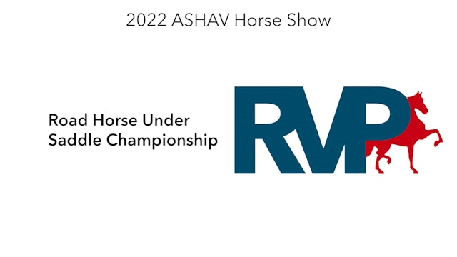 ASHAV22 - Class 93 - Road Horse Under Saddle Championship