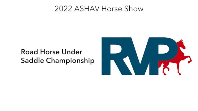 ASHAV22 - Class 93 - Road Horse Under...