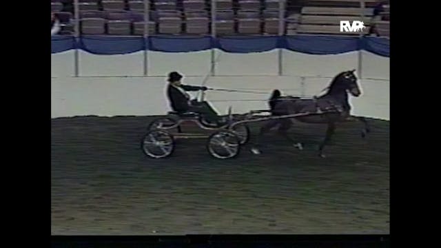 2004 American Royal - UPHA Hackney Po...