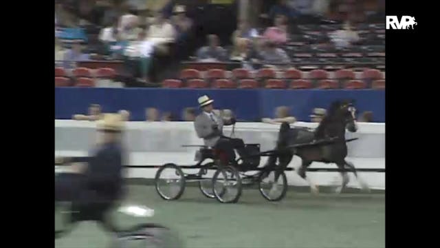 1997 WCHS - Class 165 Junior Harness ...