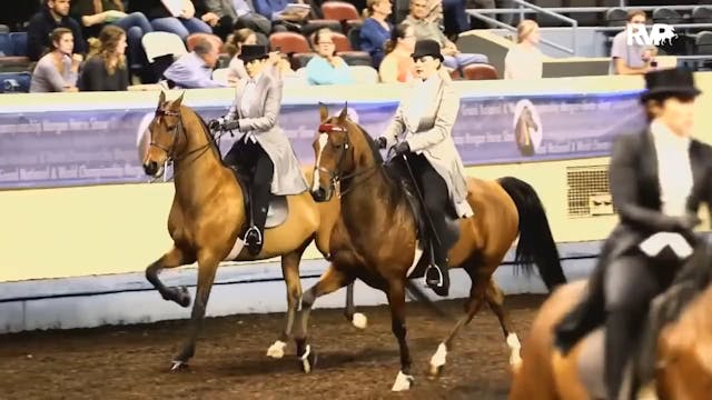 2016 MGN - Coliseum - Saturday Aftern...