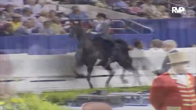 2006 WCHS Class 95 Amateur Three Gait...