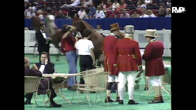 1997 WCHS - Class 10 ASB Three Gaited...