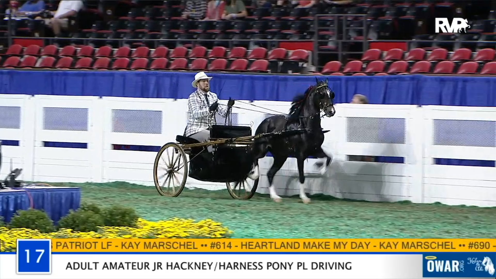 WCHS 2020 - Class 17 - Adult Amateur Junior Hackney: Pony Pleasure Driving