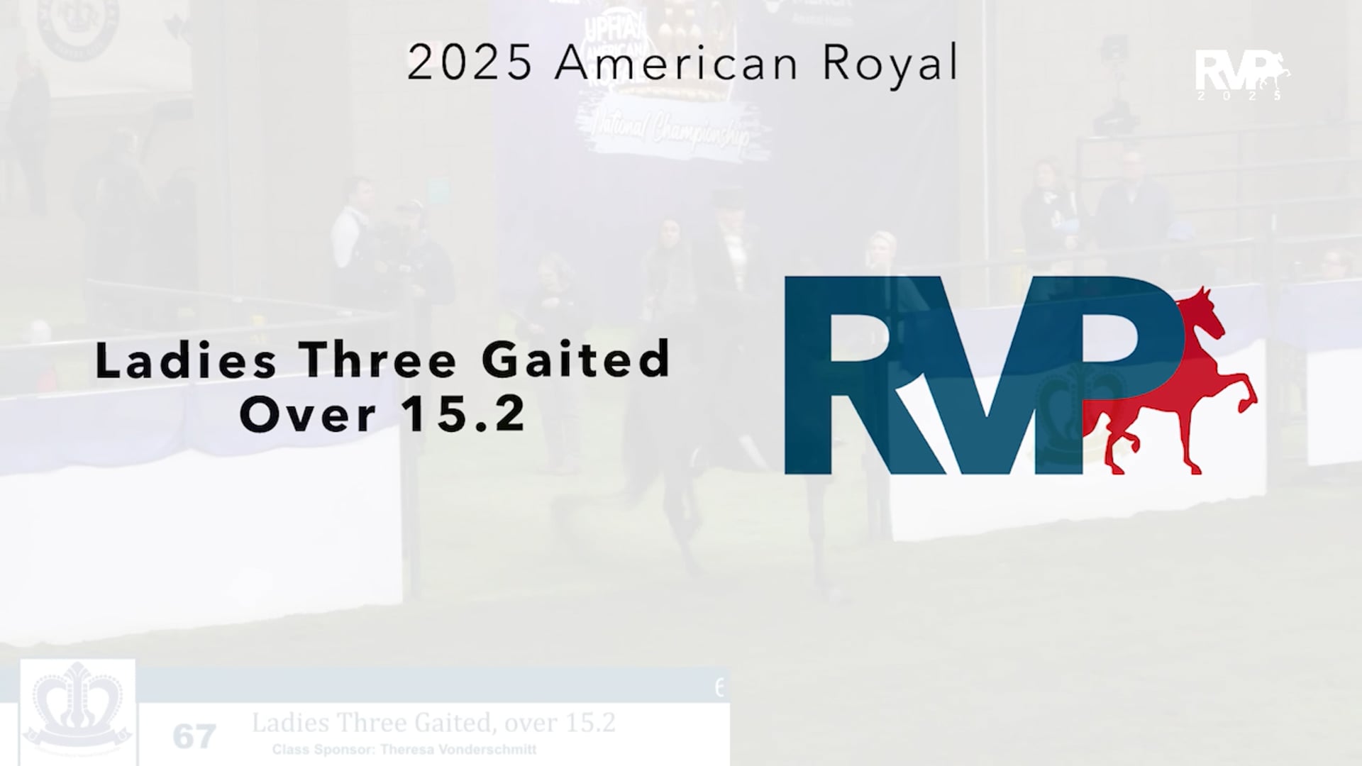 KC25 - Class 67 - Ladies Three Gaited Over 15.2