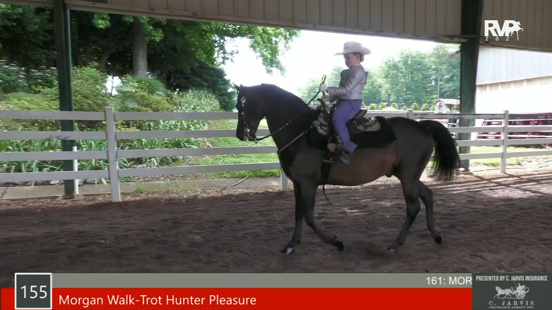 SS21 - Class 161 - Morgan Walk-Jog Western Pleasure Championship