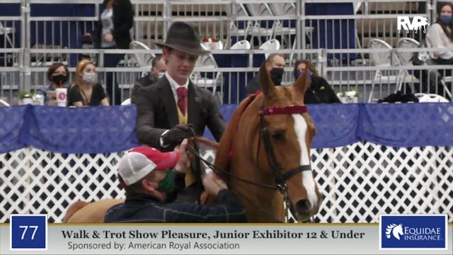 2020 AR - Class 77 Walk & Trot Junior...