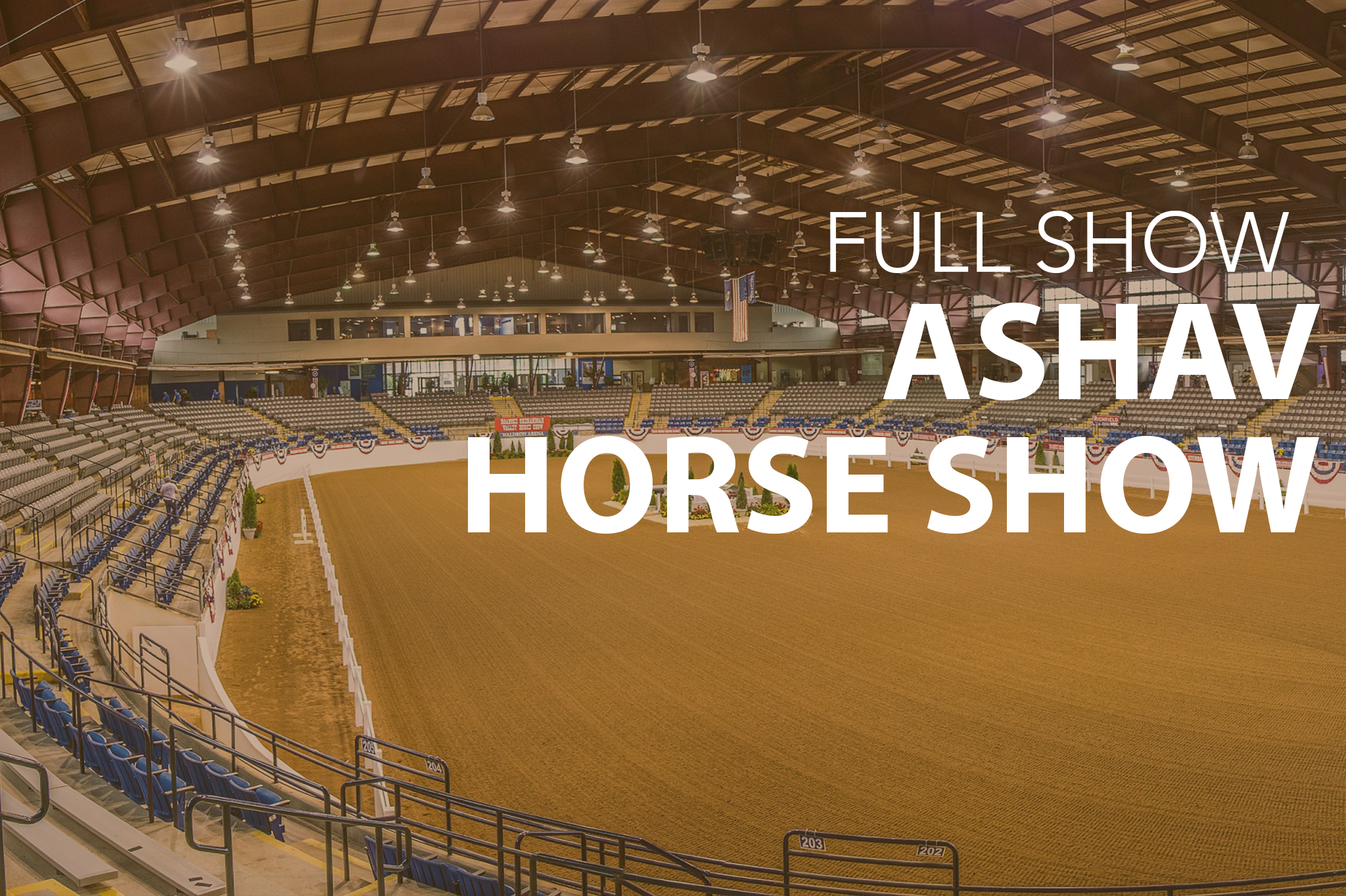 ASHAV Horse Show