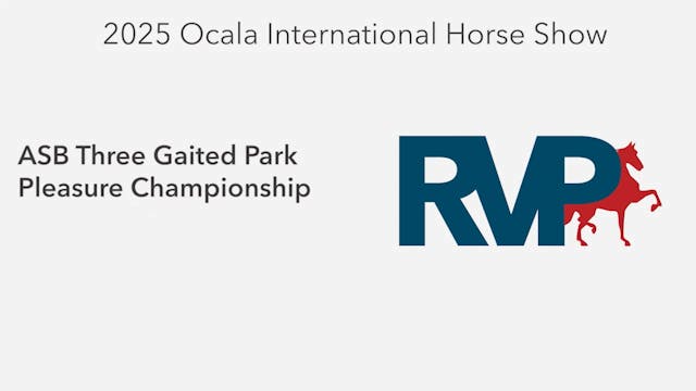 OI25 - Class 112 - ASB Three Gaited P...