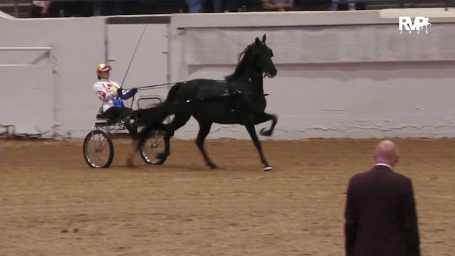 MGN25 - Class 333 - GN Roadster to Bi...