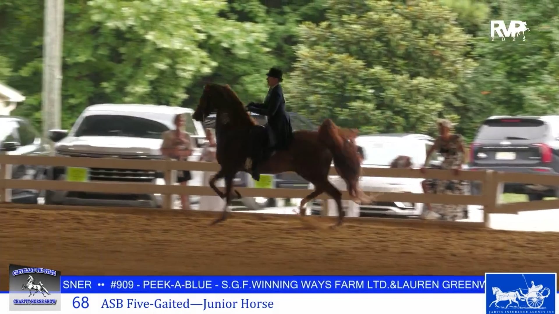 CTS25 - Class 68 - ASB FIve Gaited Jr Horse
