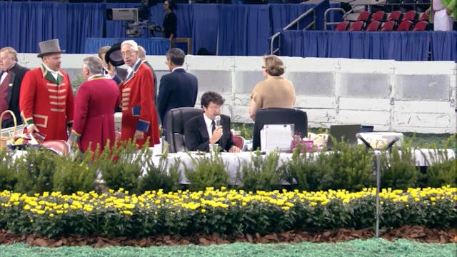 2012 World's Championship Horse Show ...