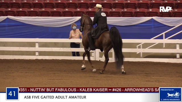 2020 BR - Class 41 Five Gaited Adult ...