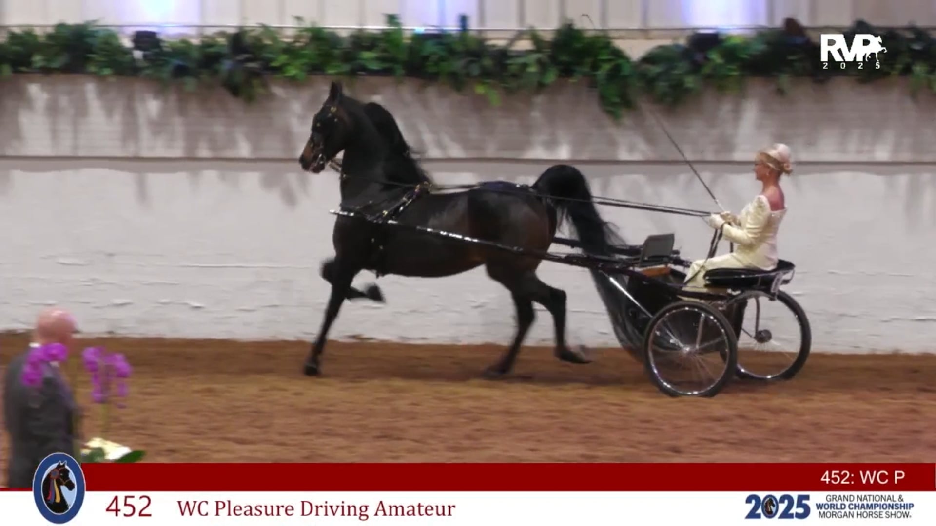 MGN25 - Class 452 - WC Pleasure Driving Amateur