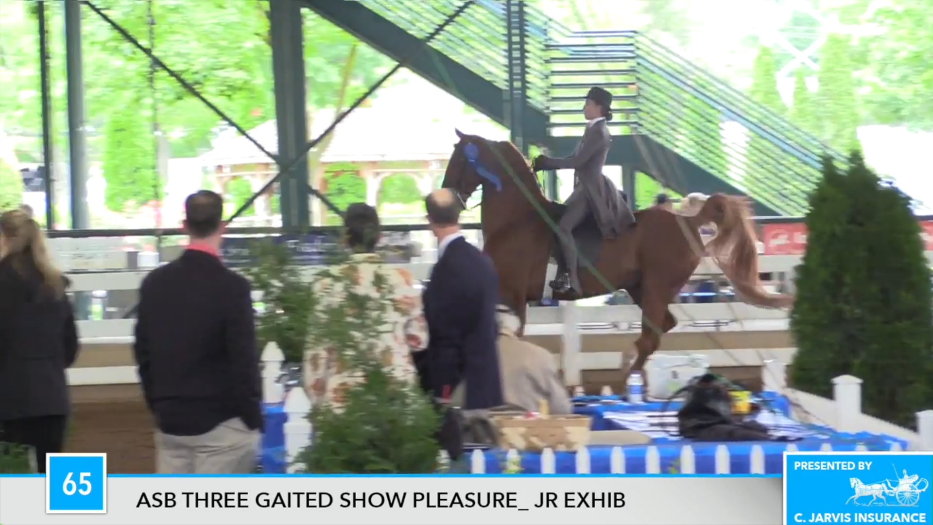 DC17 - He's Daisy's Duke 