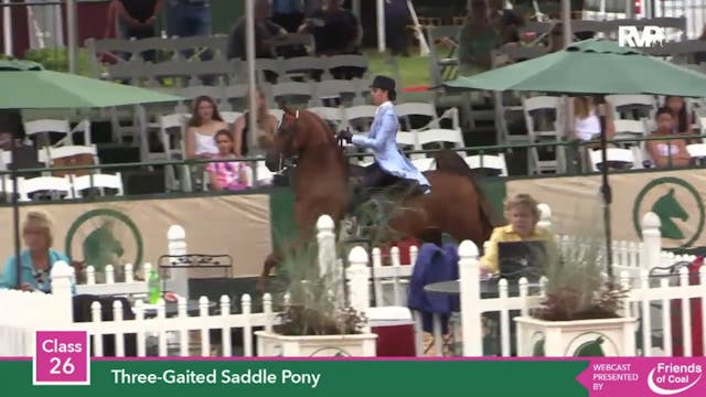2015 LJL - Class 26 Three Gaited Sadd...