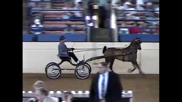 1997 Illinois State Fair - Junior Hac...