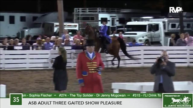 2017 RC - Class 35 ASB Adult Three Ga...