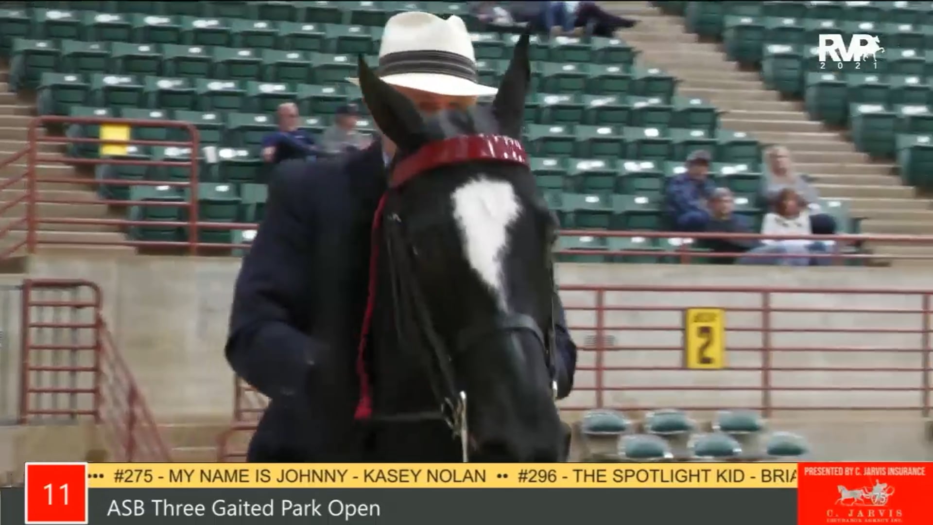 PA21 - Class 11 ASB Three Gaited Park Open