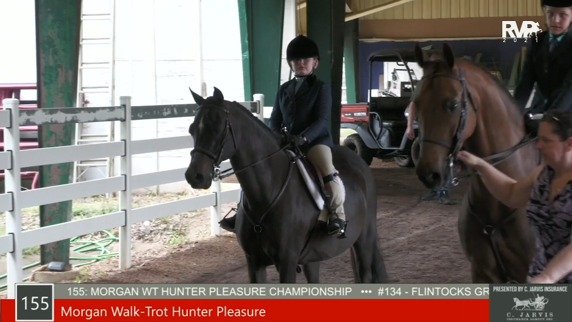 SS21 - Class 155 - Morgan Walk-Trot Hunter Pleasure Championship