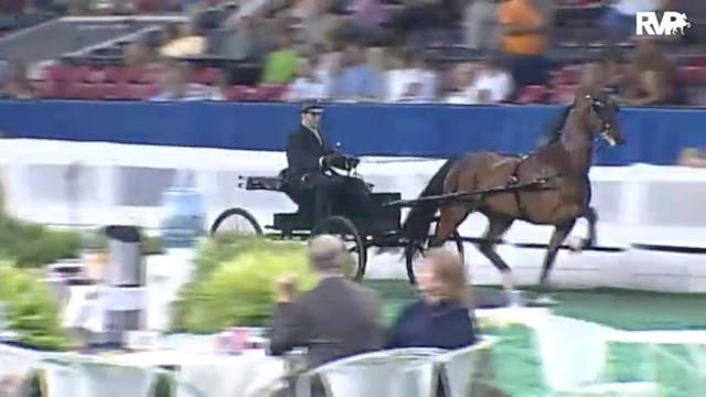 2010 World's Championship Horse Show ...