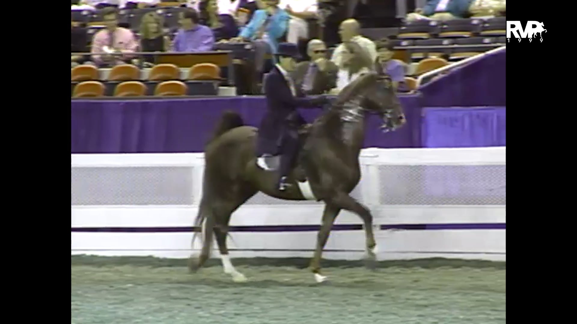 1999 WCHS - Class 140 Ladies Five Gaited Gelding Stake