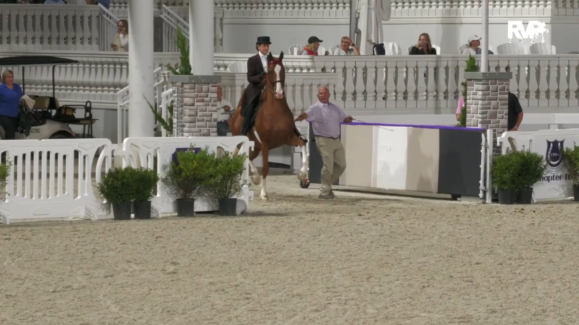 OI25 - Class 22 - ASB Open Three Gaited Park