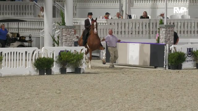 OI25 - Class 22 - ASB Open Three Gait...