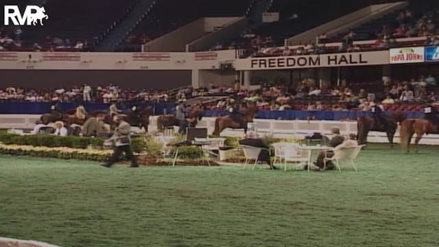 2004 World's Championship Horse Show ...