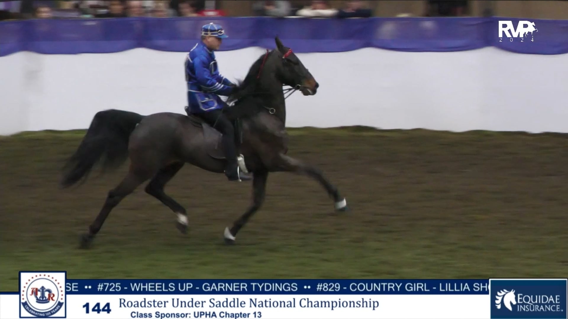 AR24 - Class 144 - Roadster Under Saddle National Championship