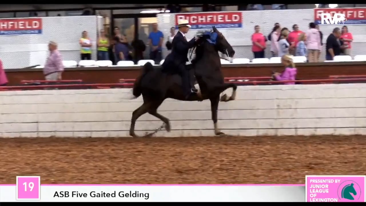 MW17  - Tuesday Evening