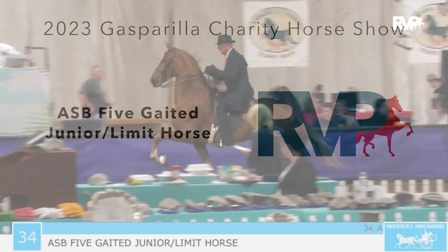 GASP23 - Class 34 - ASB Five Gaited J...