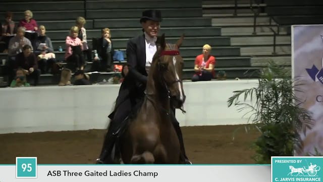 GASP17 - CH HS Baby Steps - Championship