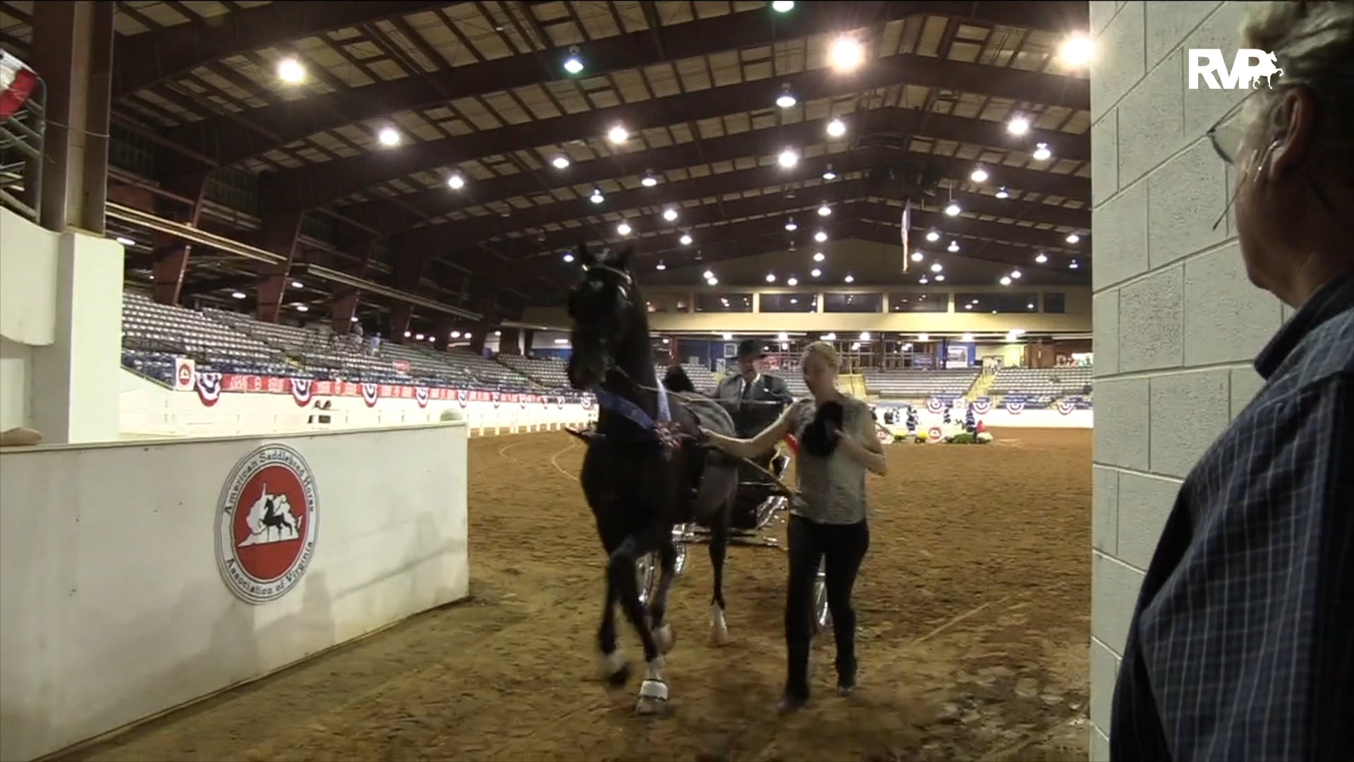 ASHAV19 - Class 70 - Evening Roses