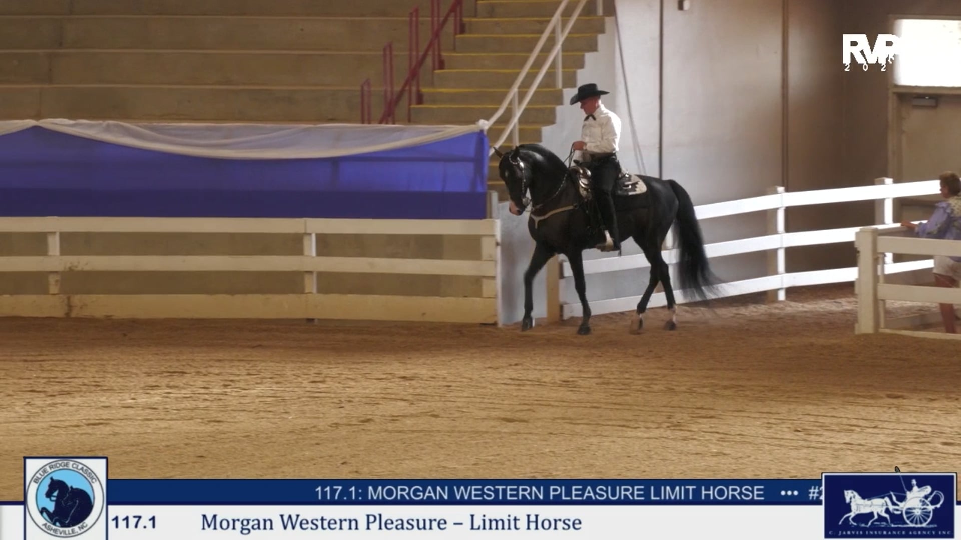 BRC25 - Class 117.1 - Morgan Western Pleasure Limit Horse
