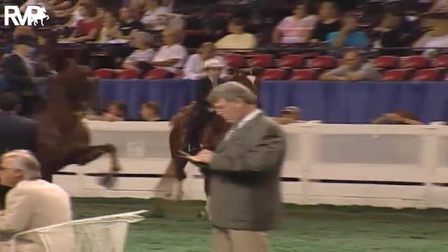 2004 World's Championship Horse Show ...