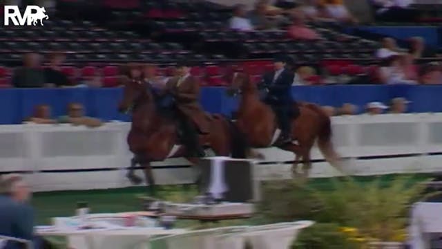 2004 World's Championship Horse Show ...